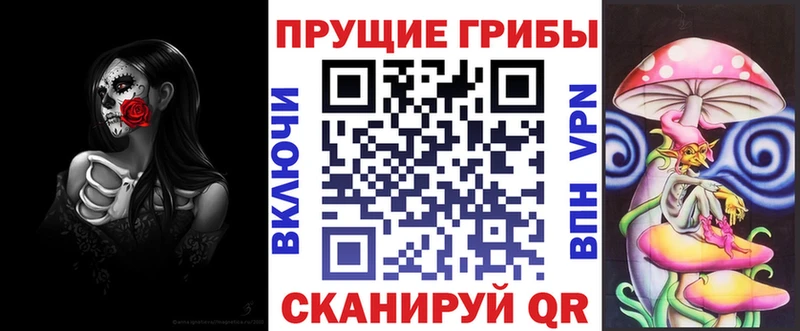 купить наркотик  blacksprut онион  Галлюциногенные грибы MAGIC MUSHROOMS  Азов 
